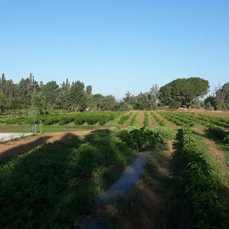 Azienda Agricola I Peperoncini בית חווה אלגהרו