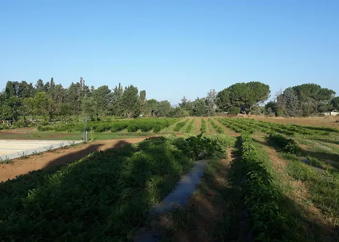 Azienda Agricola I Peperoncini Alojamento de Turismo Rural Alghero